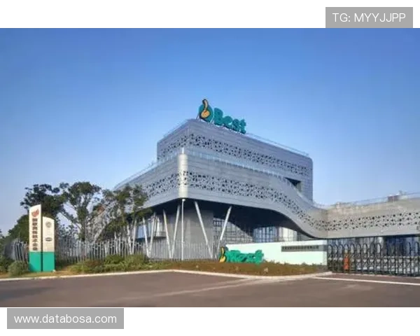 九游股份推动数字娱乐产业升级的创新举措与发展前景